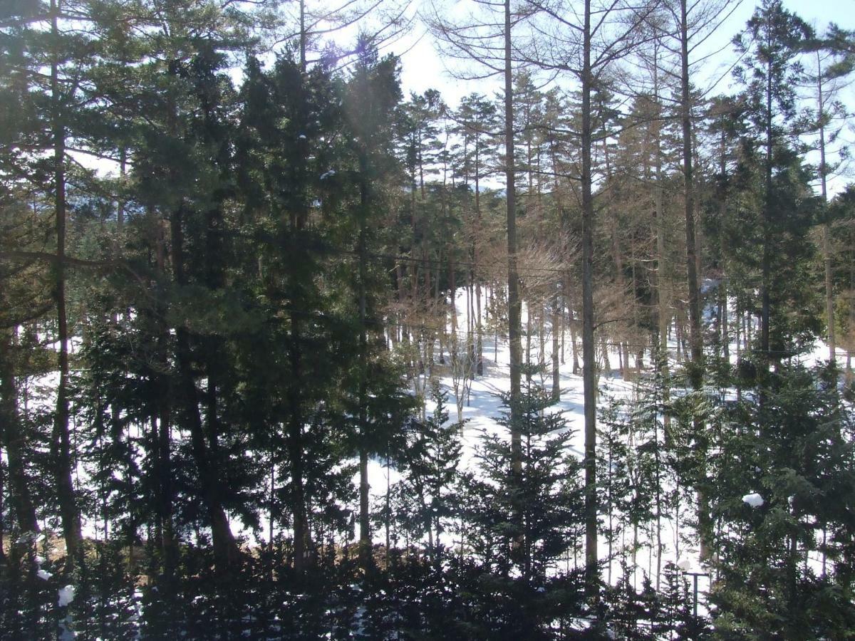 Sundance Resort Kawaguchiko فوجيكاواجوتشيكو المظهر الخارجي الصورة